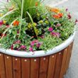 Ref 3304.01 planter