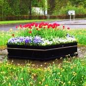 Hexagonal Planters for Alloa roundabouts