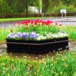 Ref 3203 Hexagonal Planter